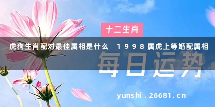 虎狗生肖配对最佳属相是什么 1998属虎上等婚配属相